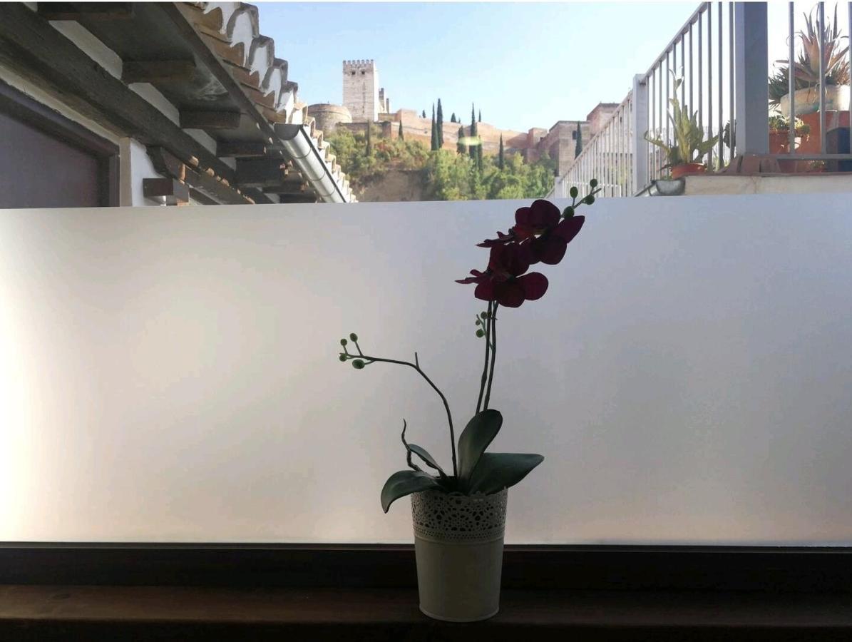 Mi Vecina La Alhambra Apartament *